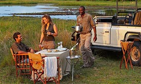 Botswana Safari Tours